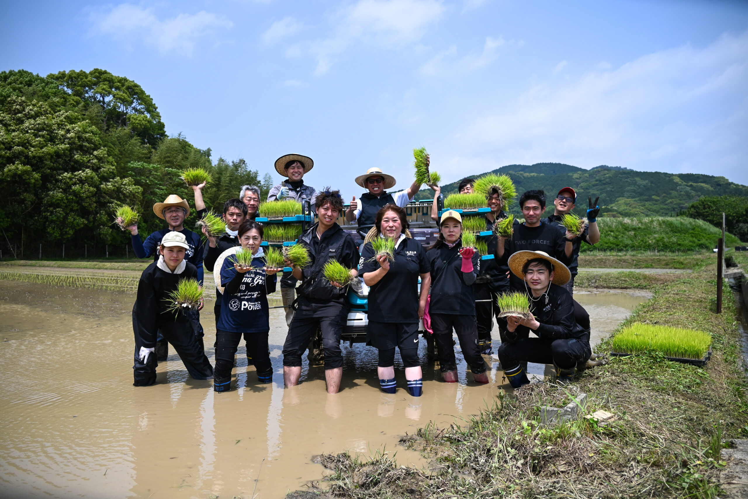 田植え